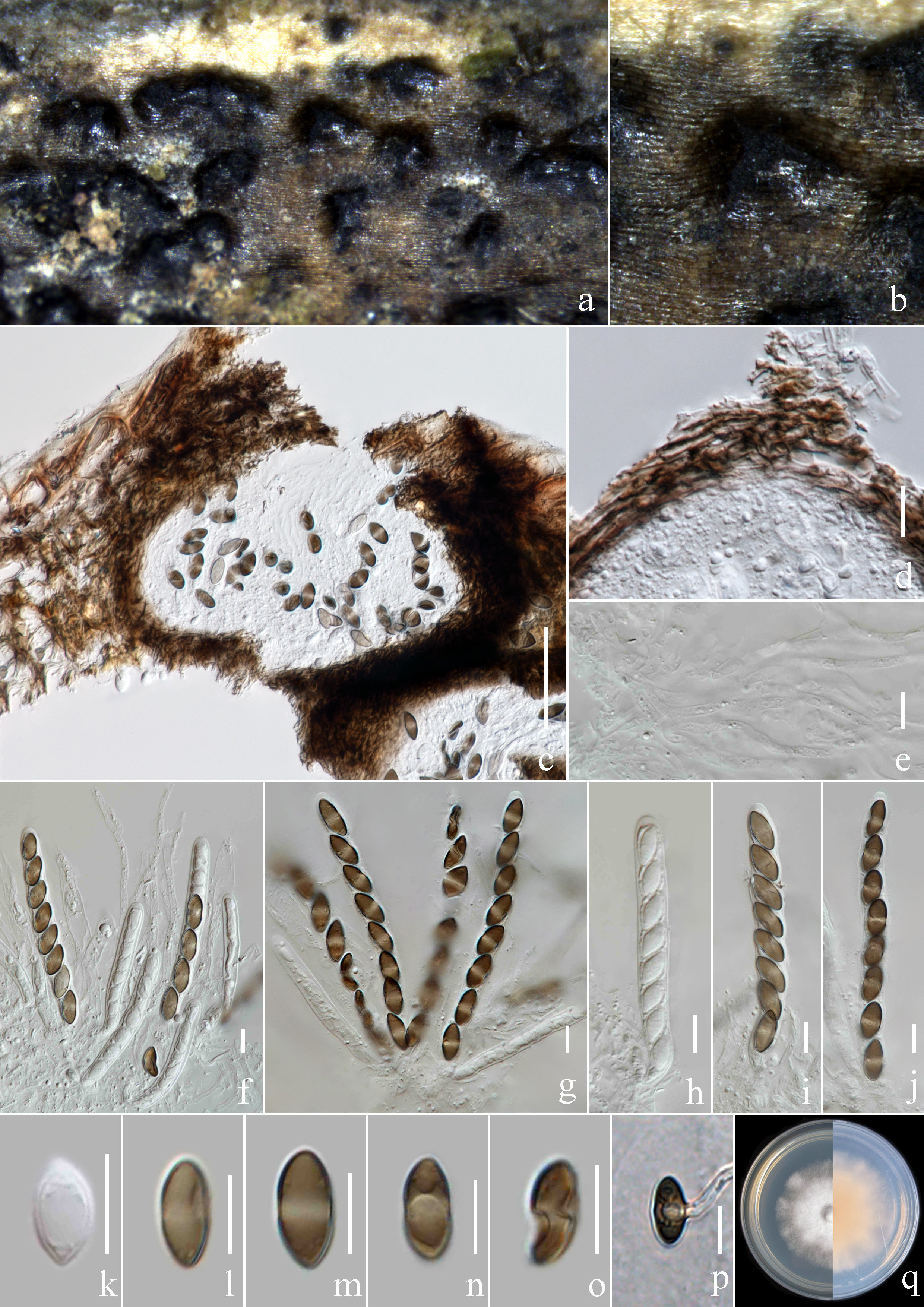 Figure 119